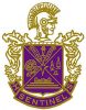 cropped-220px-sentinel_high_school_logo-copy-2.jpg
